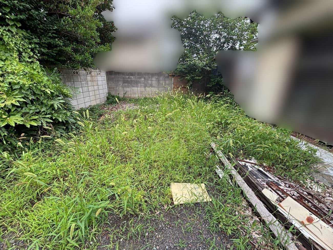 除草作業