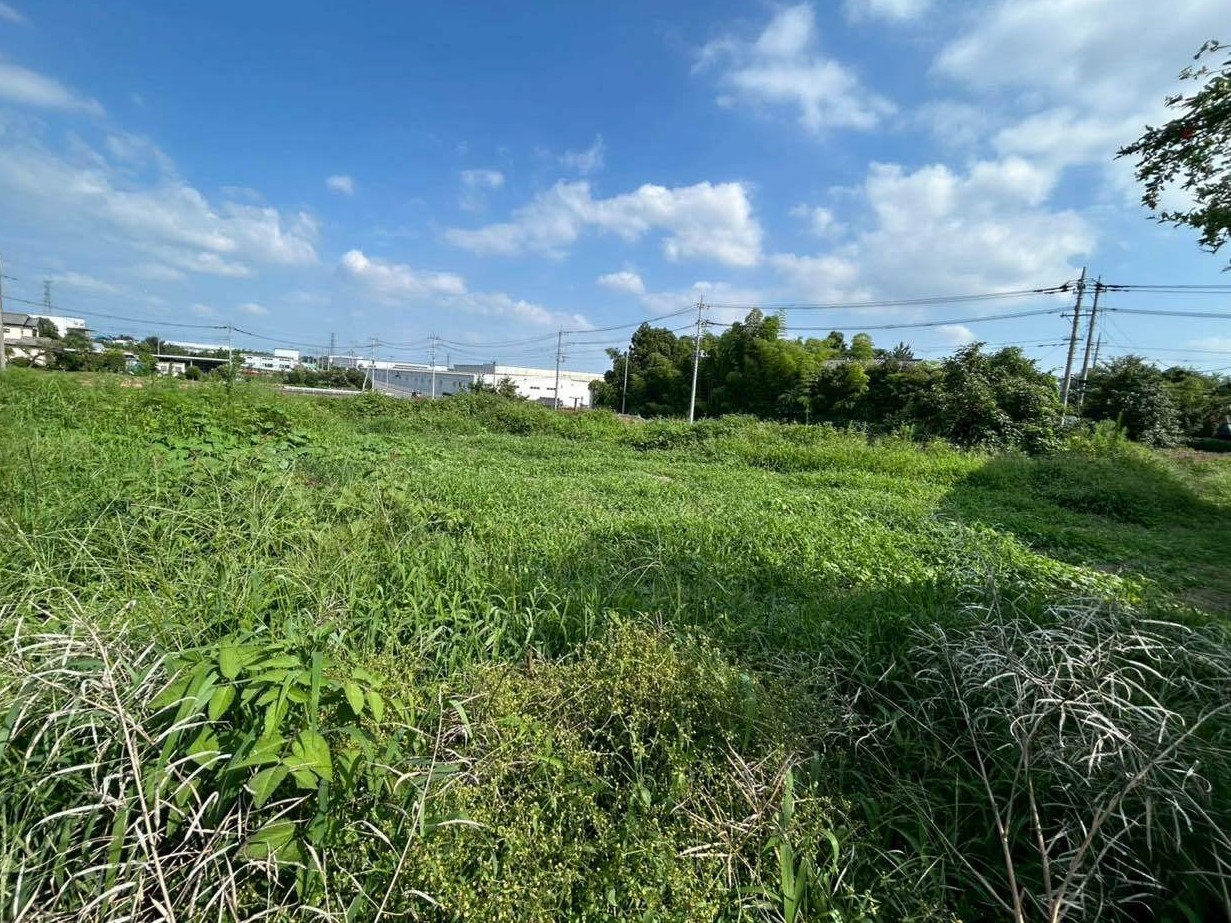 除草作業
