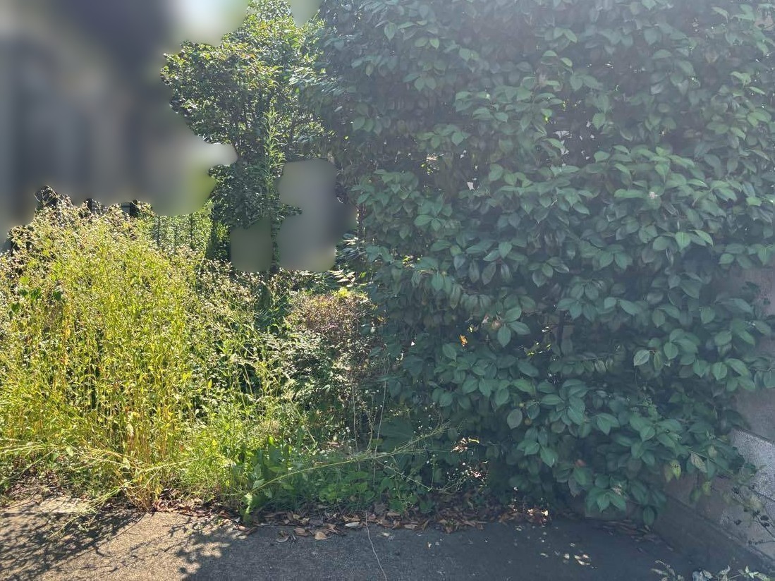 除草作業