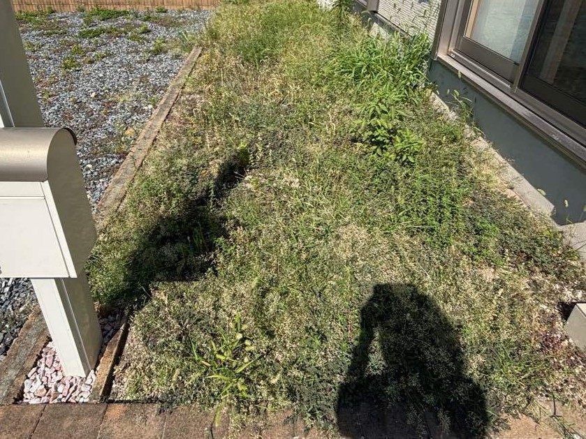 除草作業