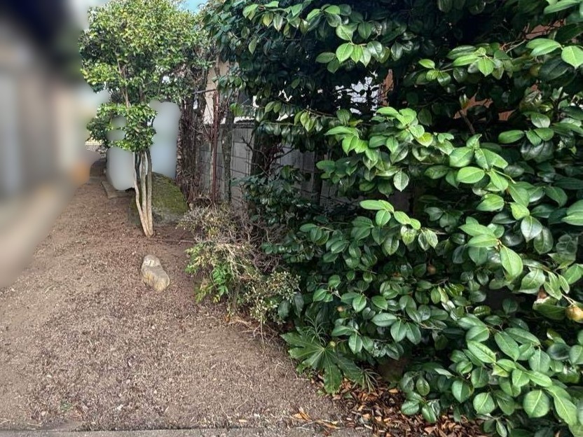 除草作業