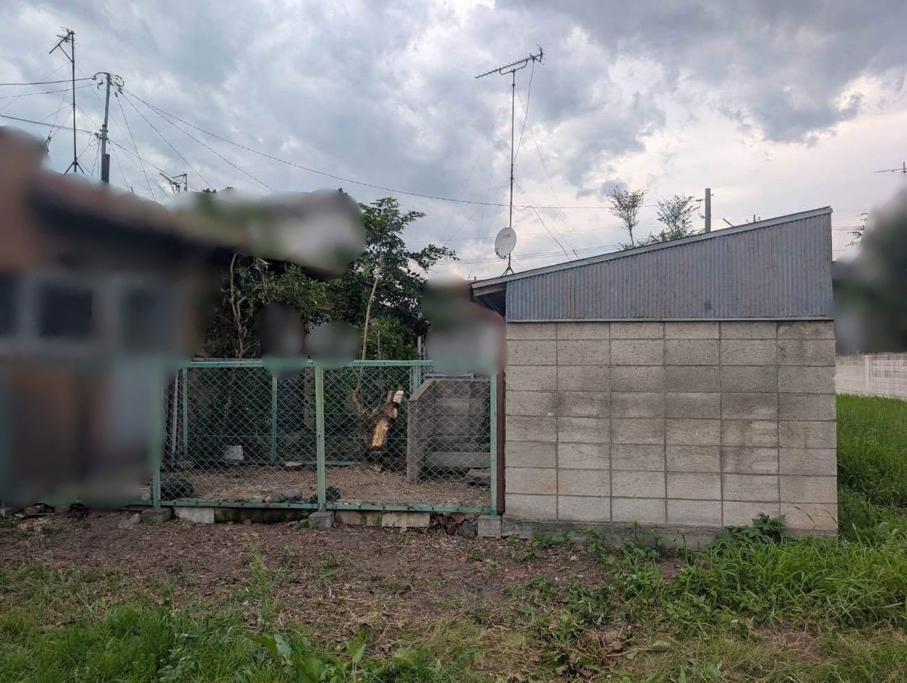 除草作業