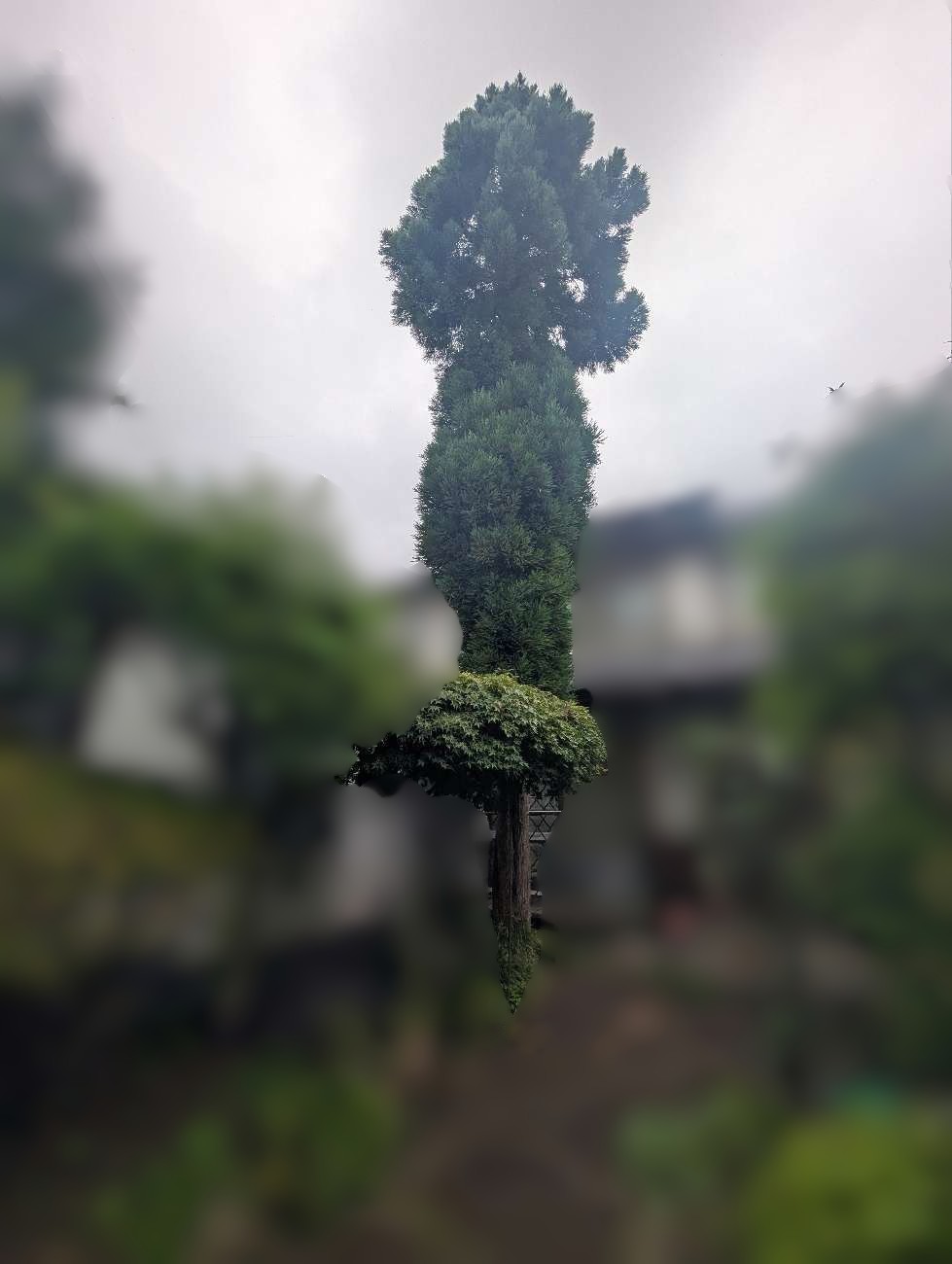 除草作業