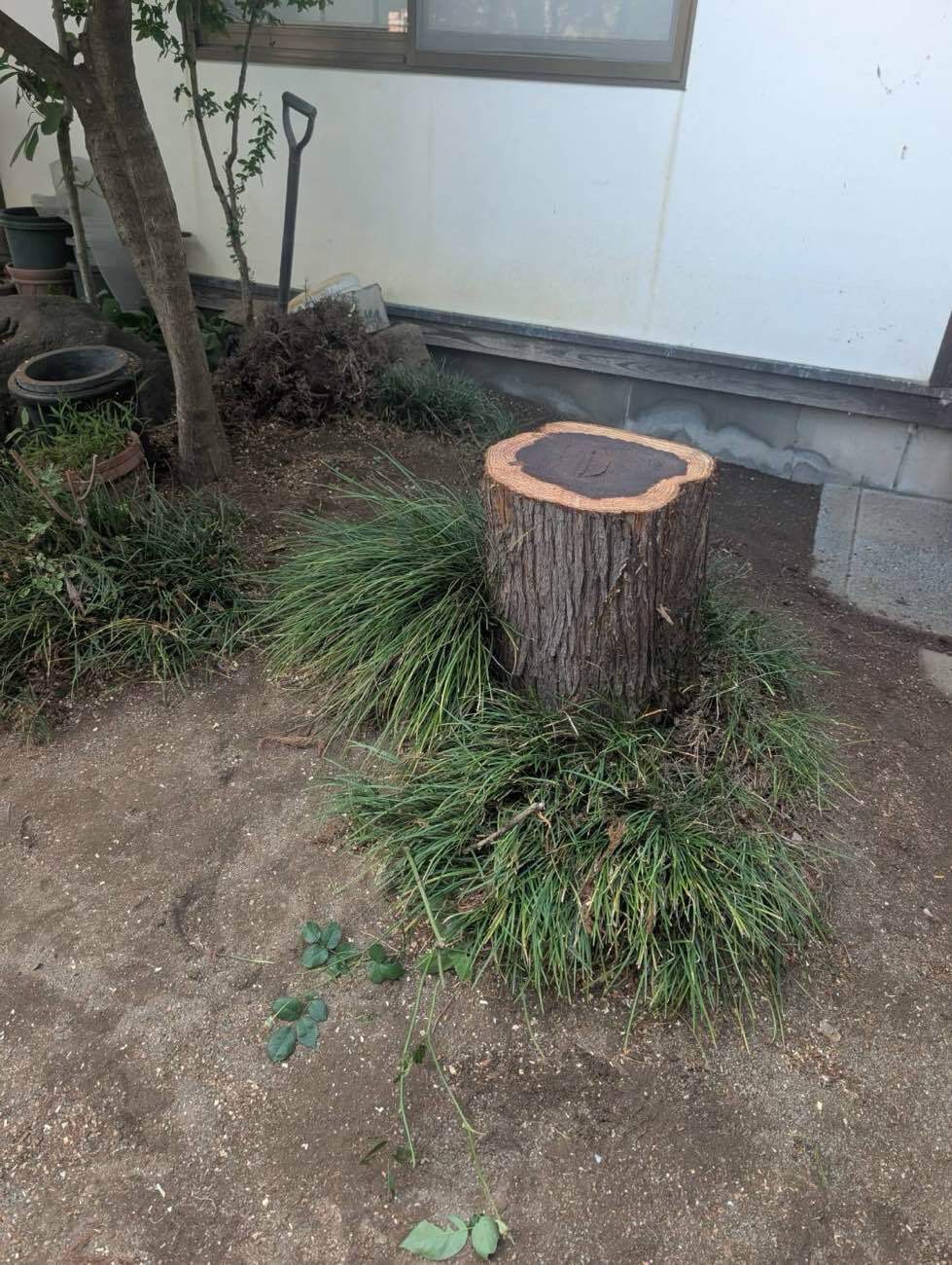 除草作業